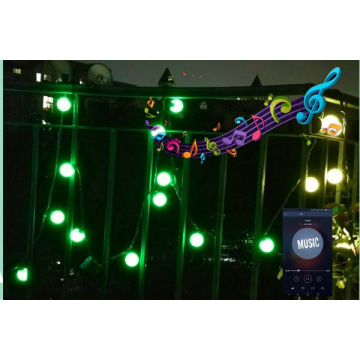 WIFI LED string lights bulbs
